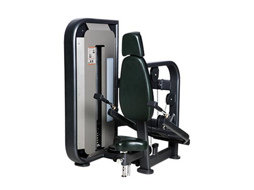 SH-6808-三頭肌訓(xùn)練器